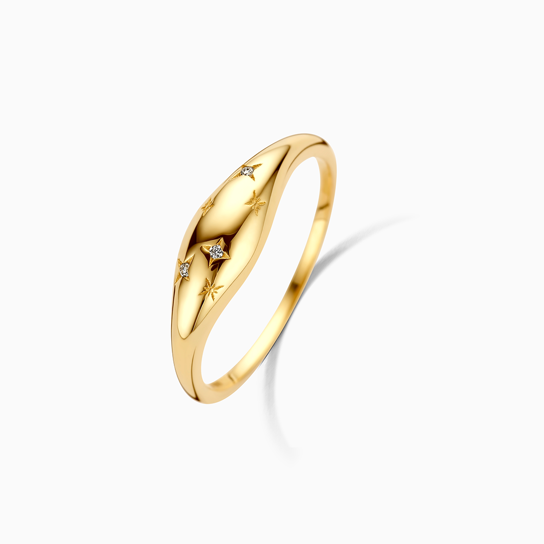 Delfina | Diamond Dome Ring - Gold