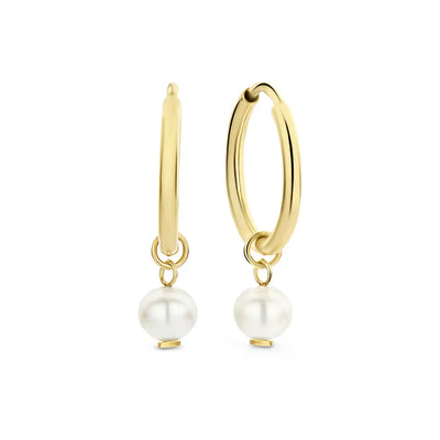 Elisabetta | Crest Gold Earrings - Gold