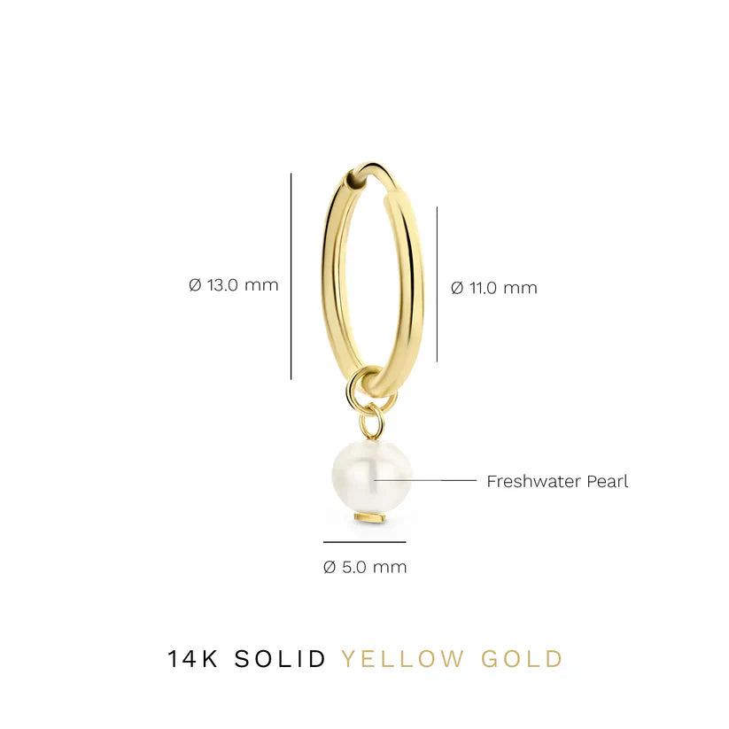 Elisabetta | Crest Gold Earrings - Gold