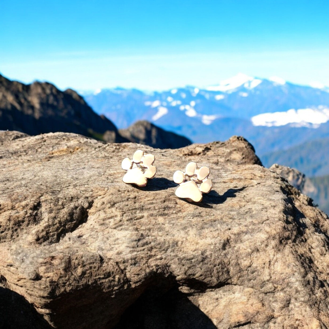 Isavelle | Paw Steel Earrings