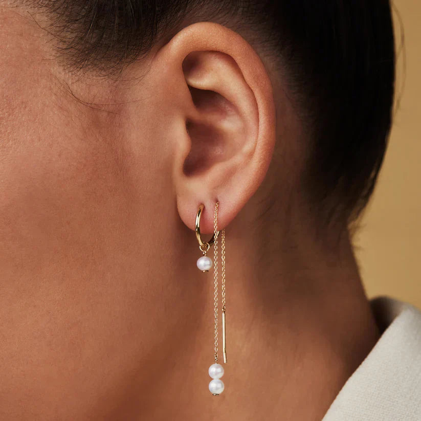 Elisabetta | Crest Gold Earrings - Gold